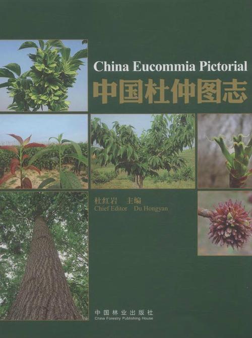 中國(guó)杜仲圖志