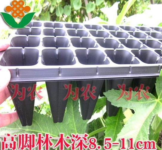 請(qǐng)注意:本圖片來(lái)自臺(tái)州市路橋?yàn)檗r(nóng)篩網(wǎng)廠(chǎng)提供的苗木穴盤(pán),高腳林木育苗