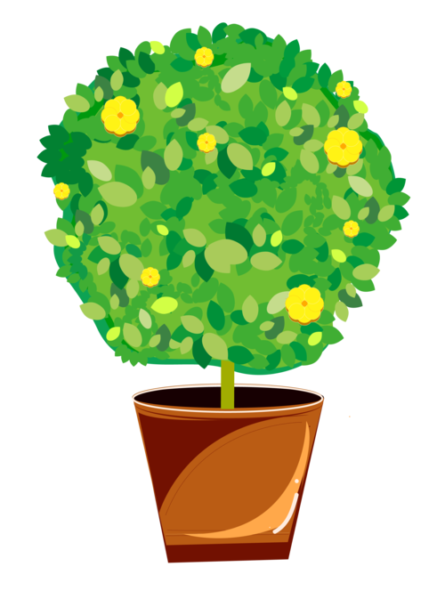 綠色盆栽圖片大全