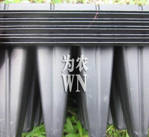 請(qǐng)注意:本圖片來(lái)自臺(tái)州市路橋?yàn)檗r(nóng)篩網(wǎng)廠(chǎng)提供的苗木穴盤(pán) 林木穴盤(pán)