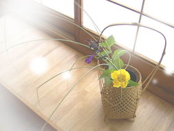 美麗的生活淡如花朵 26