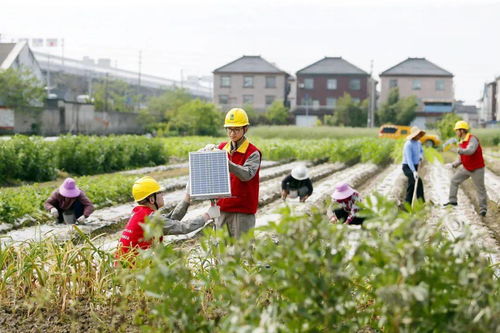 亮故事 智慧農業(yè)搭上電力快車