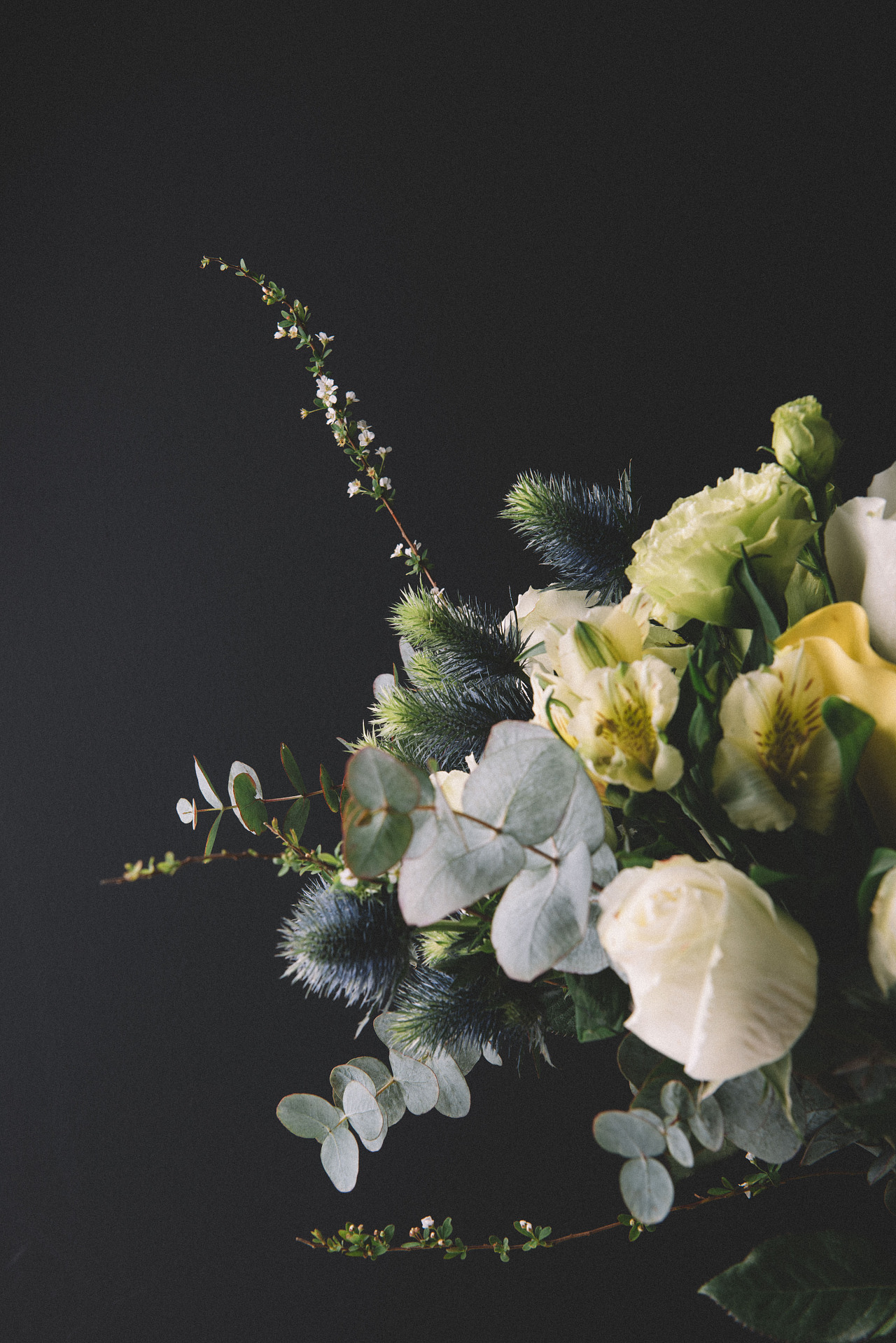 半朵鮮花產(chǎn)品靜物花卉攝影