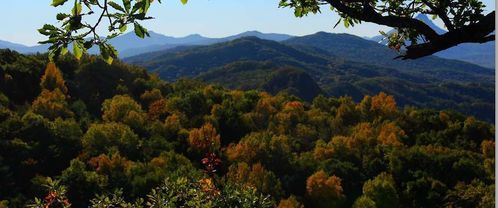 大青山 于黑龍江省中部的山脈 百科資料