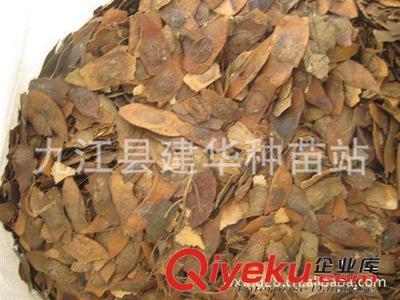 供應 降香黃檀種子 優質木材 種子 黃花梨種子-九江縣建華種業提供供應 降香黃檀種子 優質木材 種子 黃花梨種子的相關介紹、產品、服務、圖片、價格九江縣建華種業、林木種子;工程種子;園林綠化種子;花卉種子;珍稀樹種;紫玉蘭種子;羅漢松種子;黃山欒種子;小葉雞爪槭種子;桂花種子;濕地松種子;雪松種子;楠木種子;南方紅豆杉種子;櫸樹種子;杉木種子;皂角種子;楊梅種子;馬尾松種子;藍花楹種子