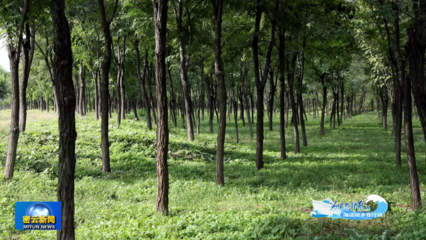 筑牢綠色生態屏障 以環湖綠守護水庫清