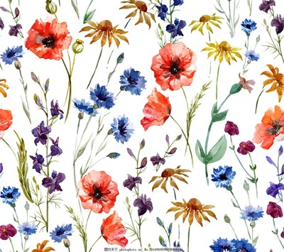 明亮水彩花卉無縫背景矢量圖