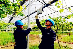 黑龍江農(nóng)業(yè)用電范圍是什么 有哪些優(yōu)惠政策