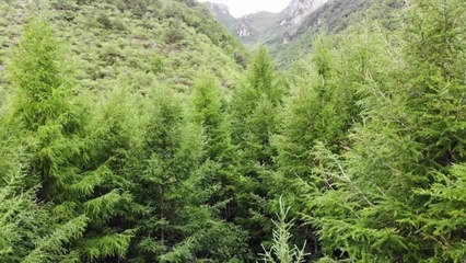 密云區(qū)榮獲2021年&ldquo;中國天然氧吧&rdquo;稱號