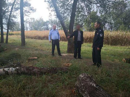 烏蘭察布市涼城縣偵破濫伐林木案