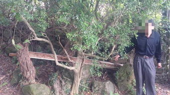 陽明山草山行館梁柱遭竊 附近鄰居拿珍貴林木裝修自宅