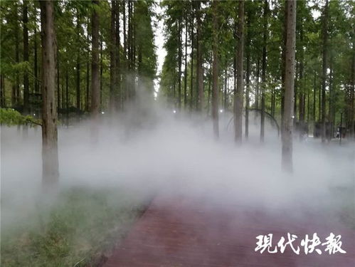 江蘇林木種苗與林下經濟產業協同發展，總產值突破746億元