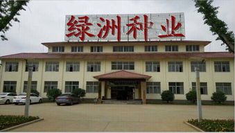 吐魯番進(jìn)口辣木籽購(gòu)買(mǎi)指南 源頭與渠道解析