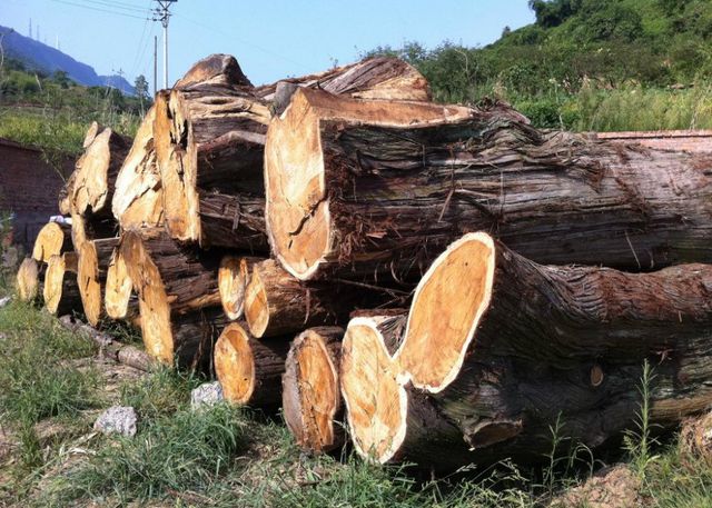 中澳貿(mào)易矛盾激化，澳大利亞商家暫停蔬菜對(duì)華出口